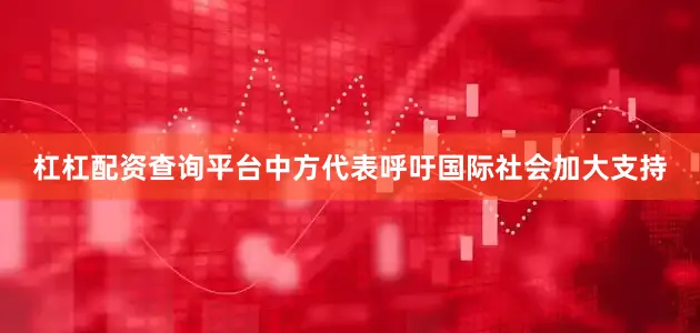 杠杠配资查询平台中方代表呼吁国际社会加大支持