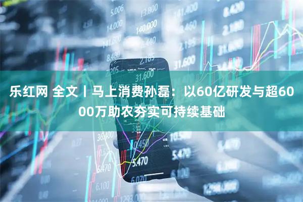 乐红网 全文丨马上消费孙磊：以60亿研发与超6000万助农夯实可持续基础