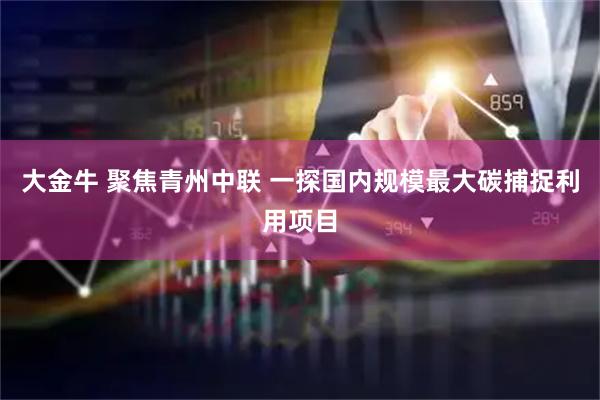 大金牛 聚焦青州中联 一探国内规模最大碳捕捉利用项目