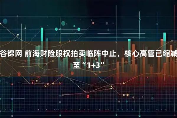 谷锦网 前海财险股权拍卖临阵中止，核心高管已缩减至“1+3”