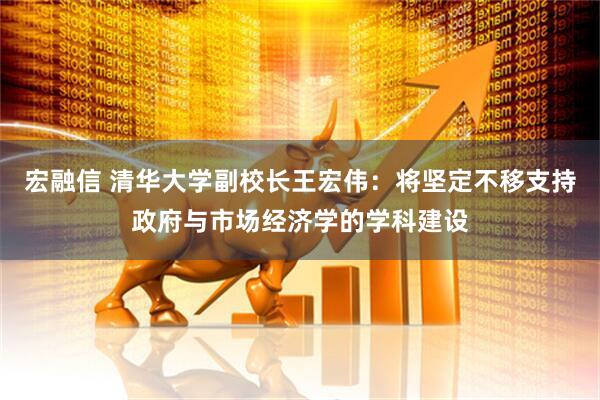 宏融信 清华大学副校长王宏伟：将坚定不移支持政府与市场经济学的学科建设